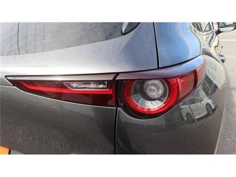 CX-30