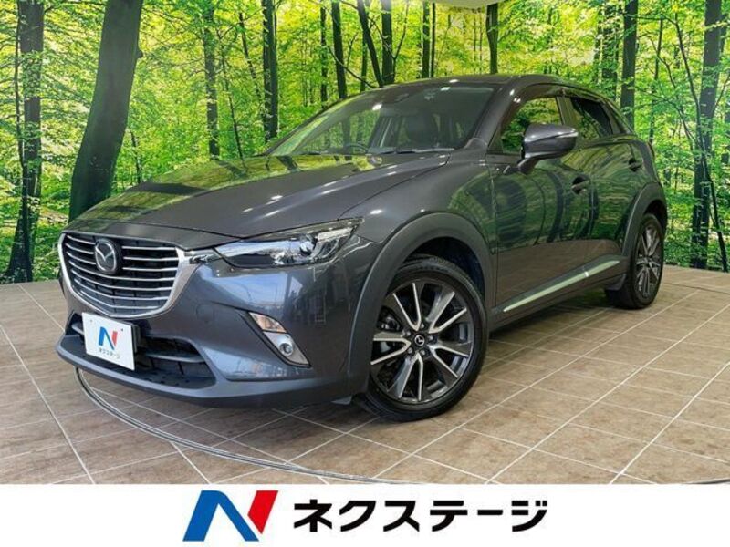 CX-3-0