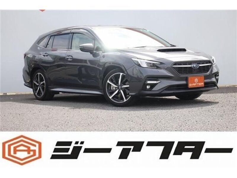 LEVORG-0