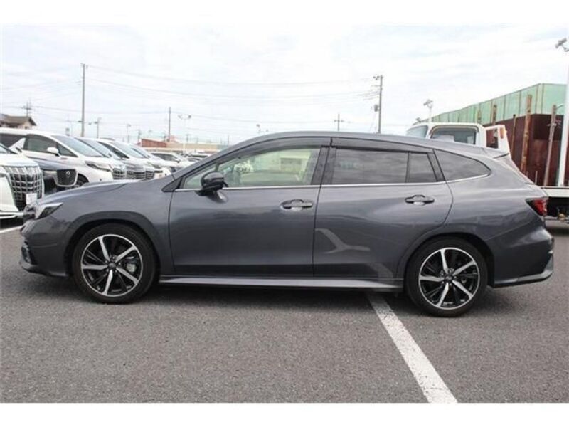 LEVORG