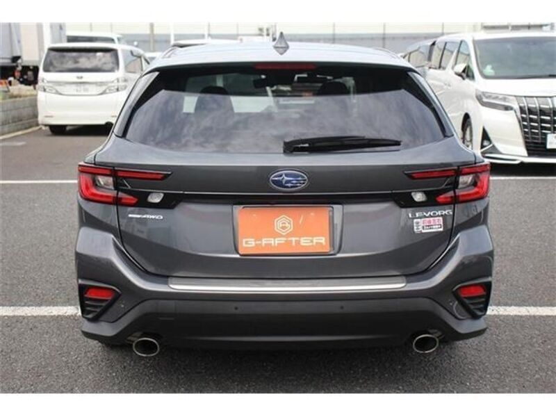 LEVORG