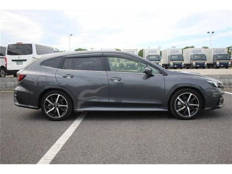 LEVORG
