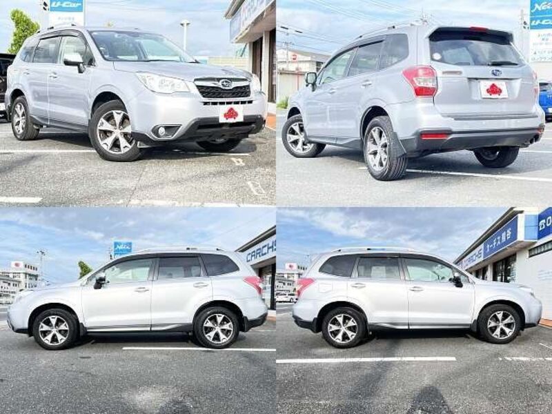 FORESTER