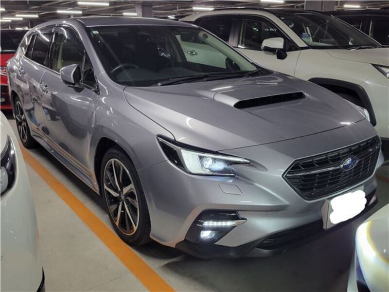 LEVORG-0