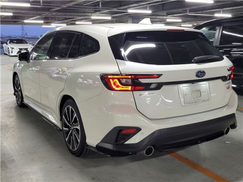 LEVORG