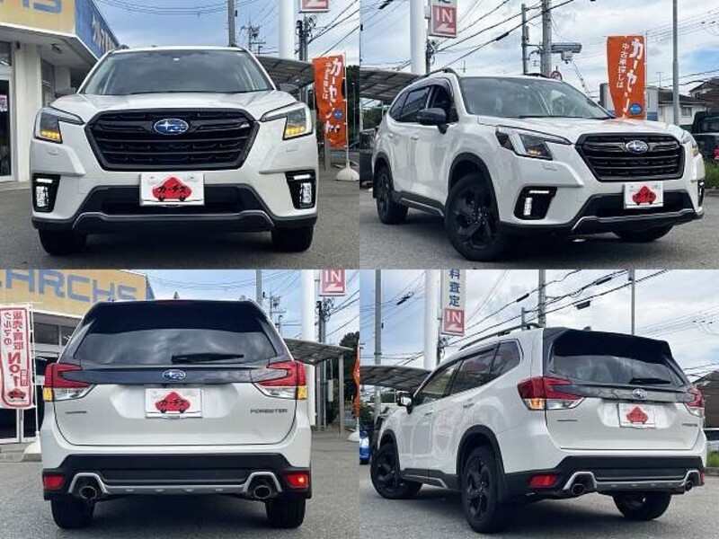 FORESTER