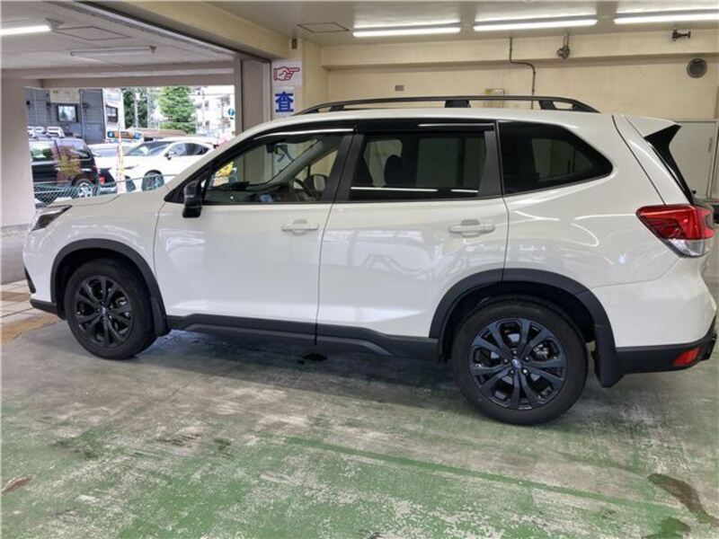 FORESTER