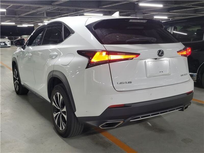 NX