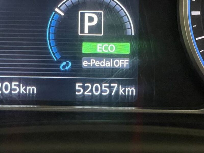 LEAF