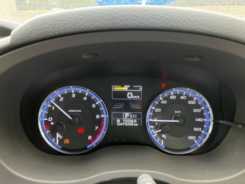 LEVORG-0