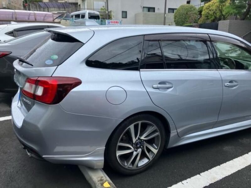 LEVORG
