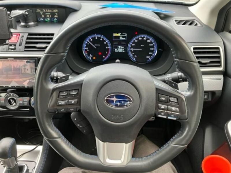 LEVORG
