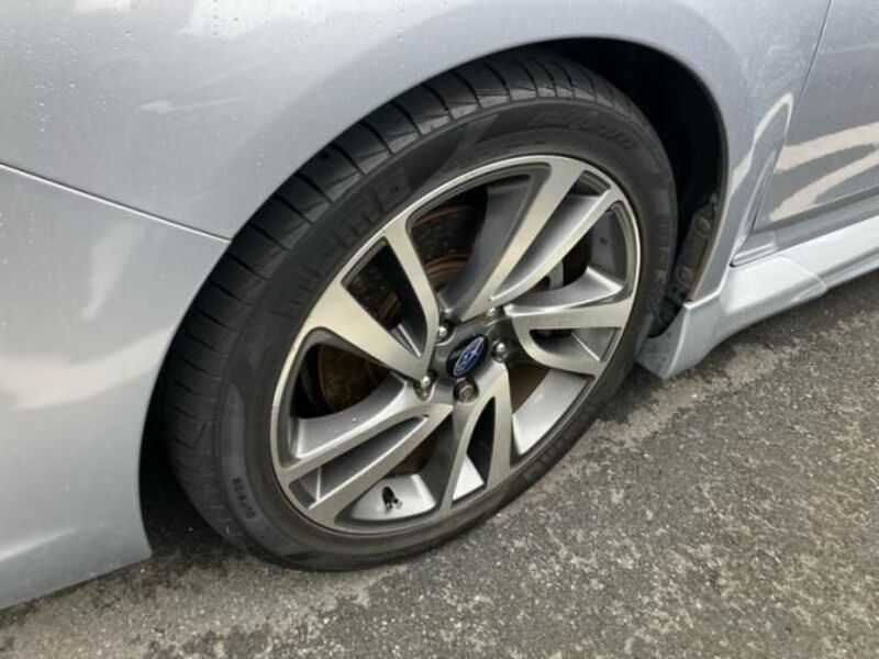 LEVORG