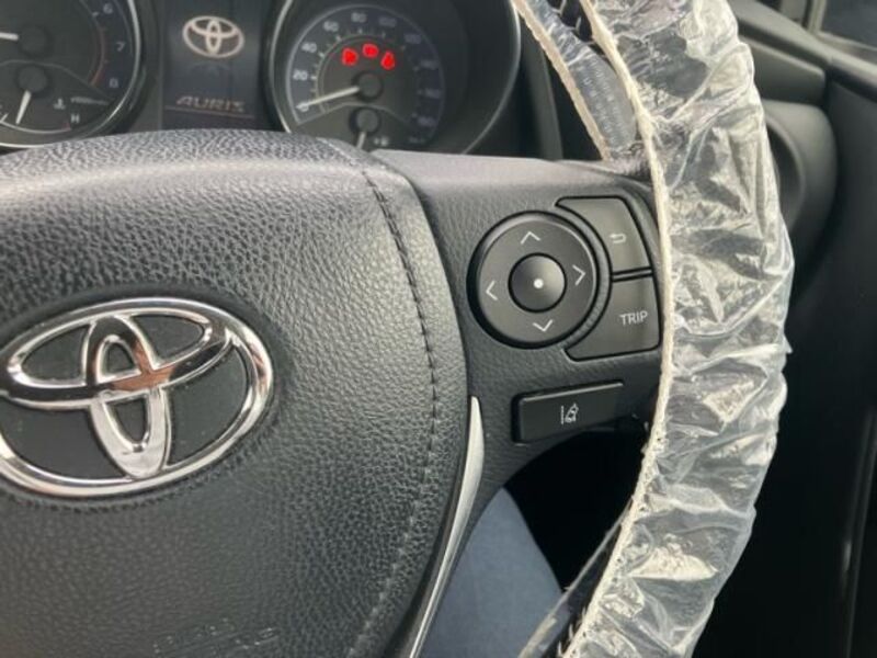 AURIS