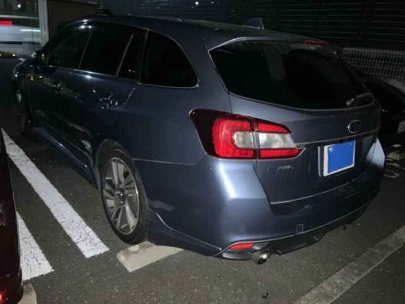 LEVORG