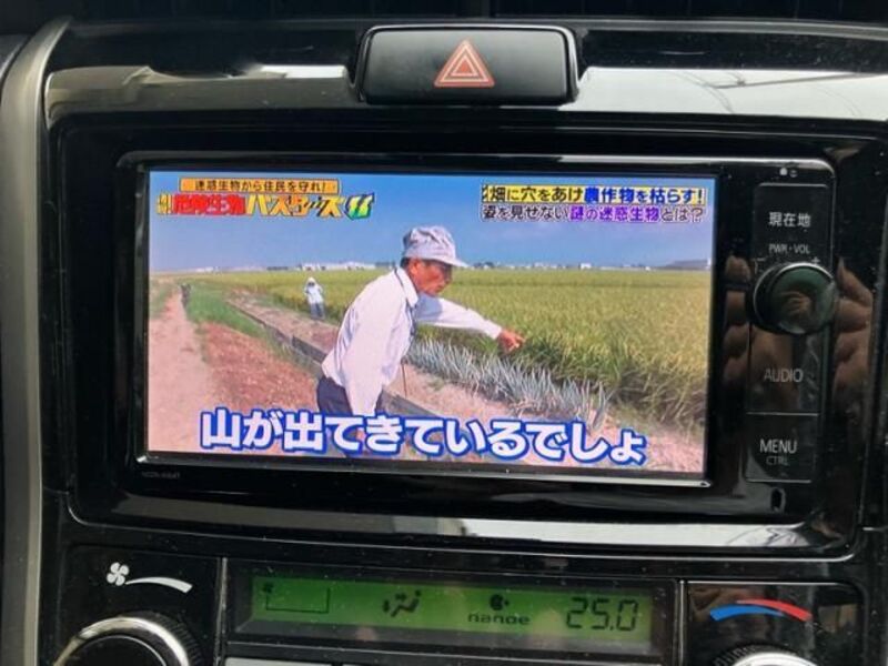 COROLLA FIELDER