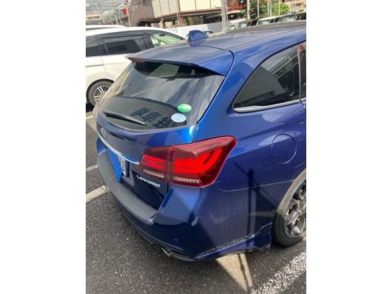 LEVORG