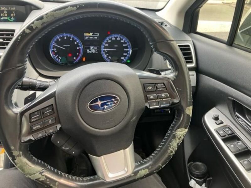LEVORG