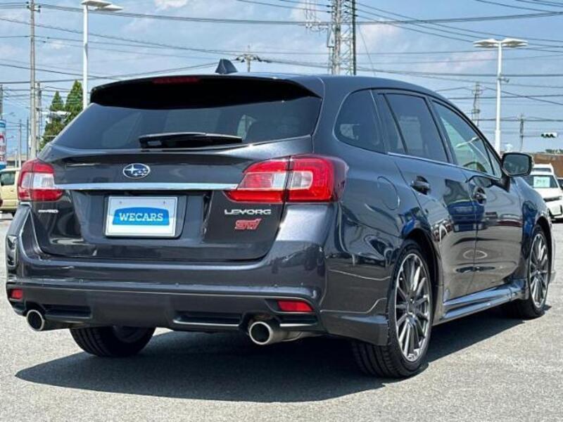 LEVORG