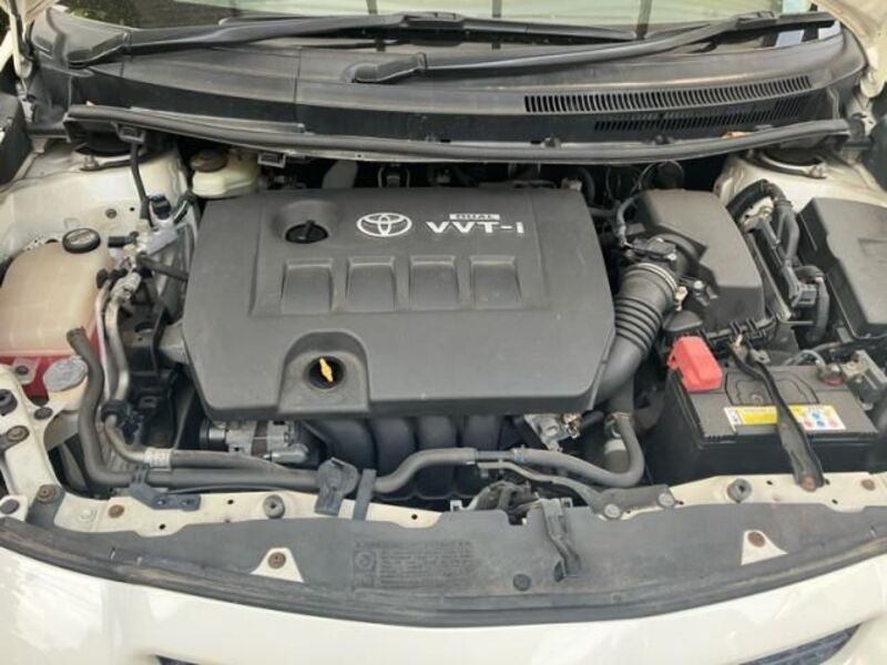 AURIS