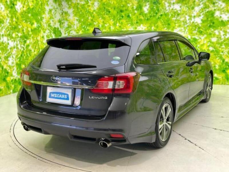 LEVORG