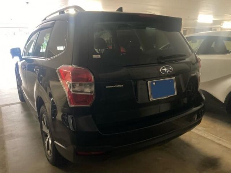 FORESTER