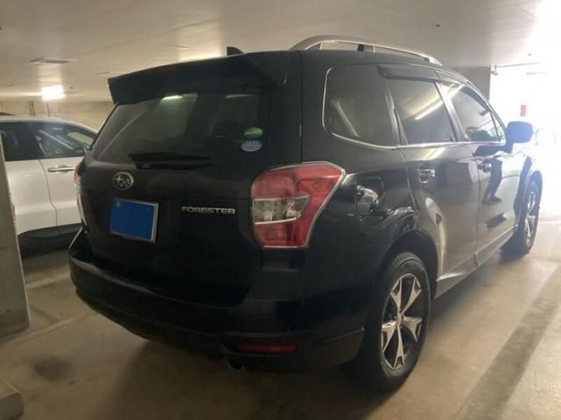 FORESTER