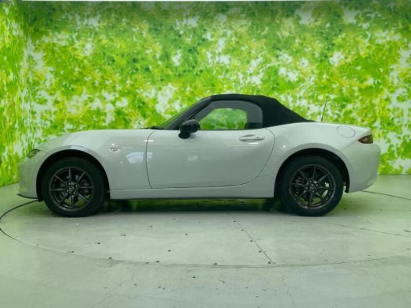 ROADSTER