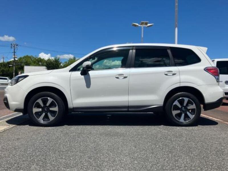 FORESTER