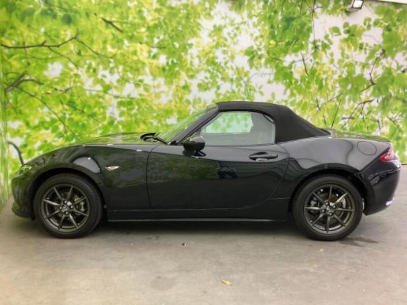 ROADSTER