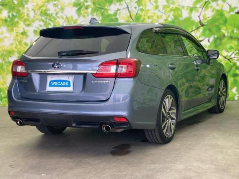 LEVORG