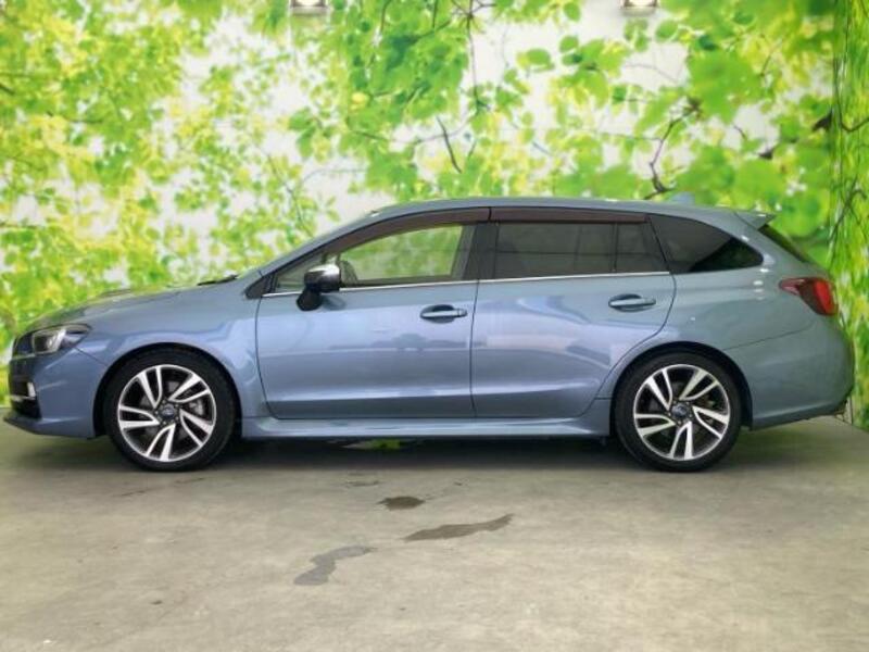 LEVORG