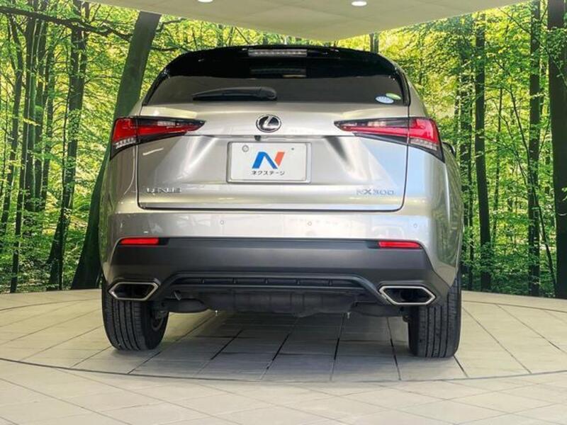 NX