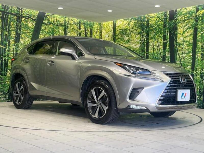 NX