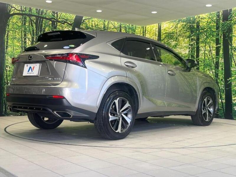 NX