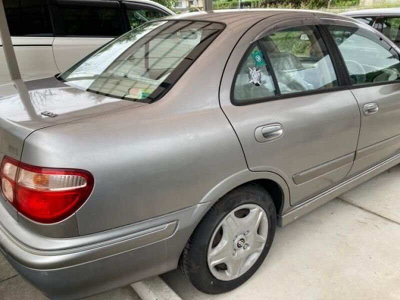 BLUEBIRD SYLPHY