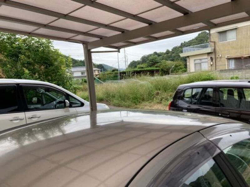BLUEBIRD SYLPHY