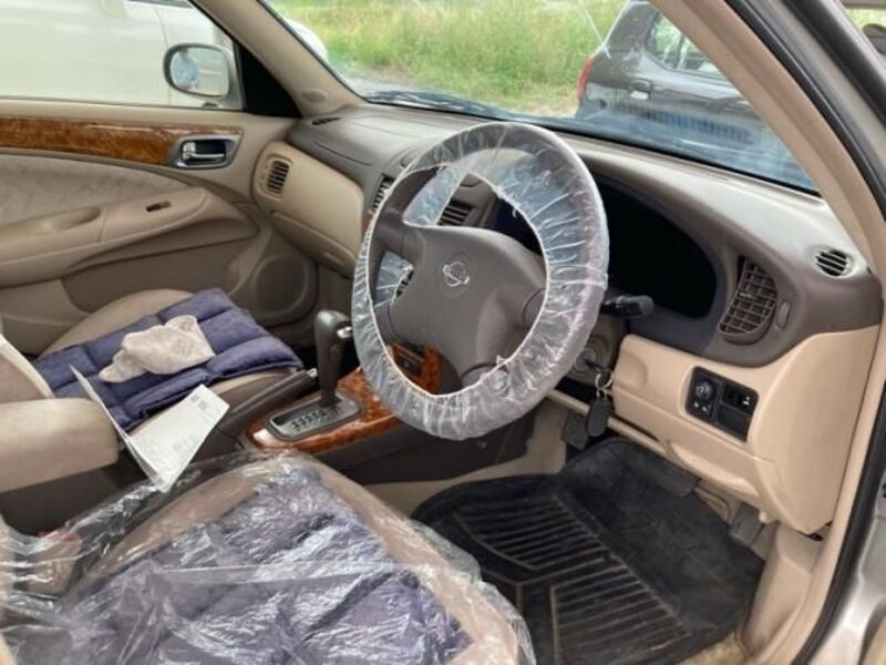 BLUEBIRD SYLPHY