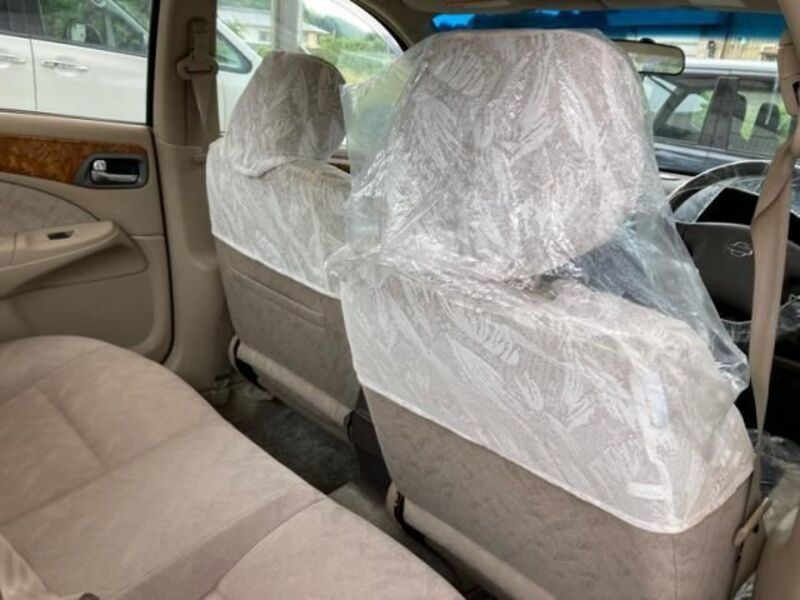 BLUEBIRD SYLPHY