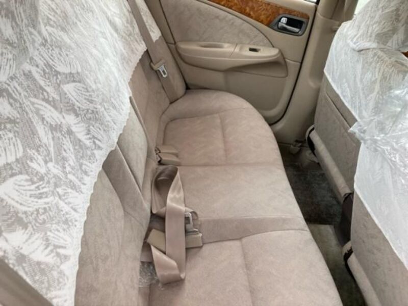 BLUEBIRD SYLPHY