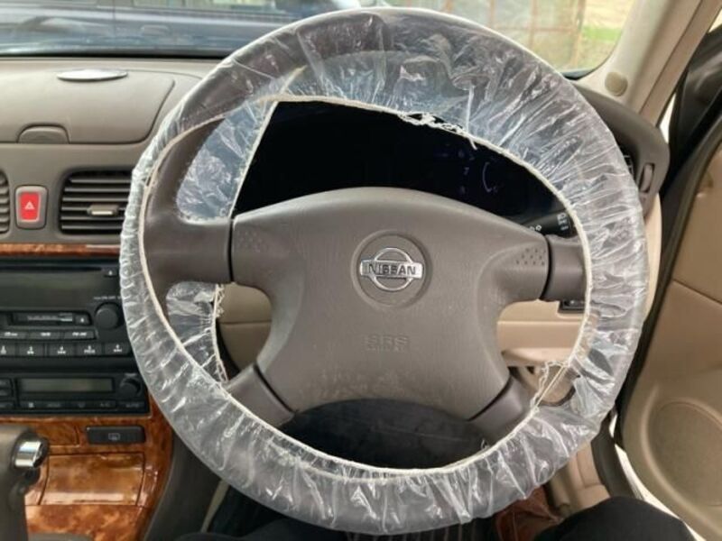 BLUEBIRD SYLPHY