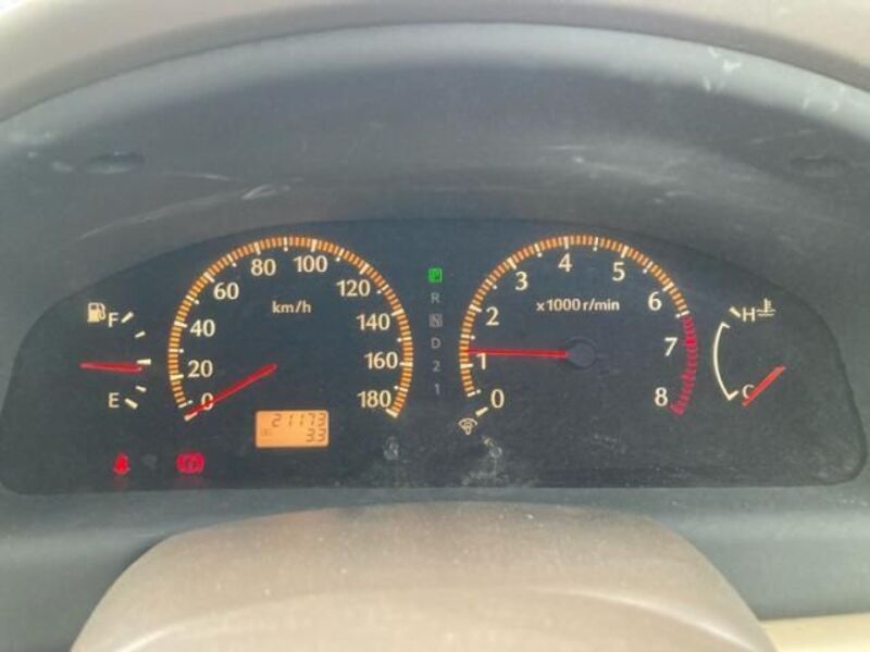 BLUEBIRD SYLPHY