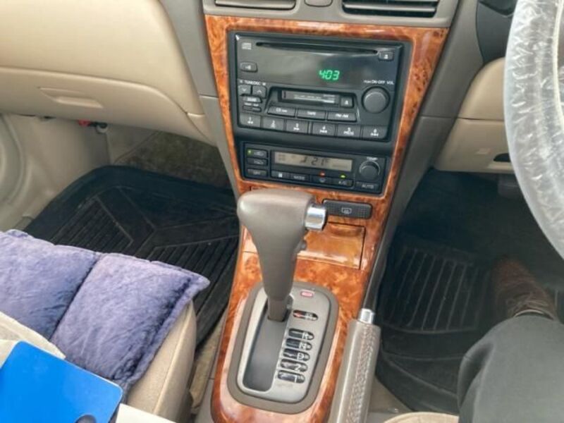 BLUEBIRD SYLPHY