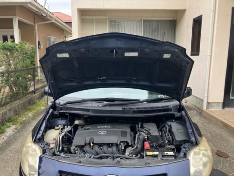 AURIS