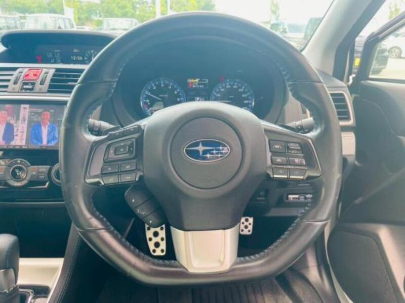 LEVORG