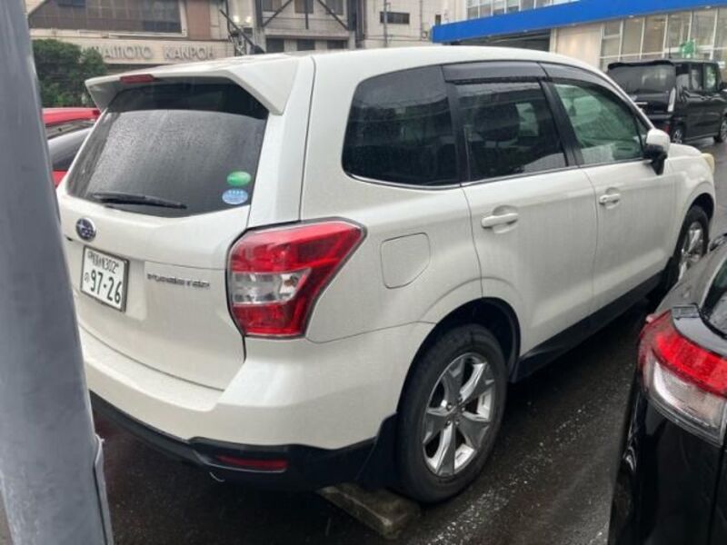 FORESTER