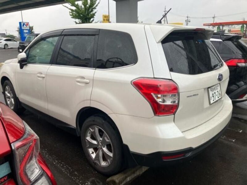 FORESTER