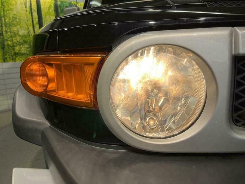 FJ CRUISER