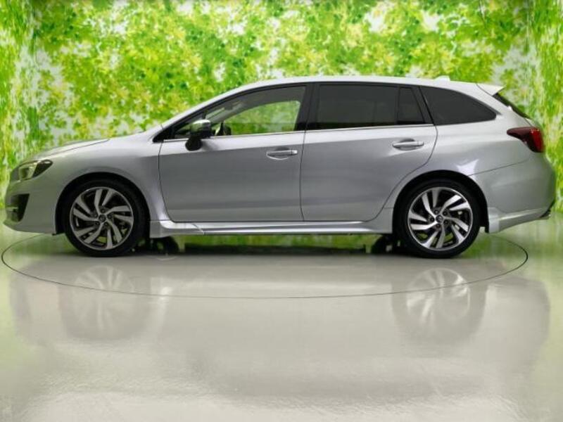 LEVORG