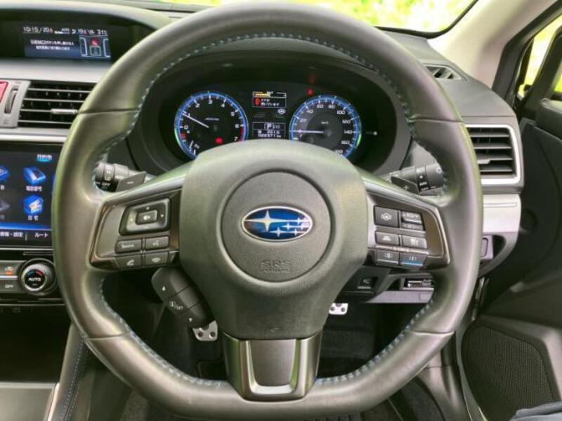 LEVORG
